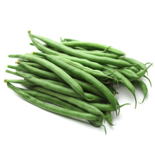 Long green cowpea Asparagus vegetable long yard bean seeds